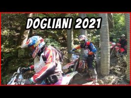 Motovigna Dogliani 2021